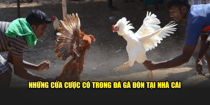 Những cửa cược có trong đá gà đòn tại nhà cái